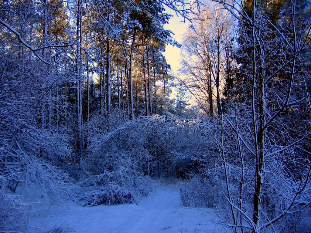 Agropensjonat Stręgielek Exterior foto